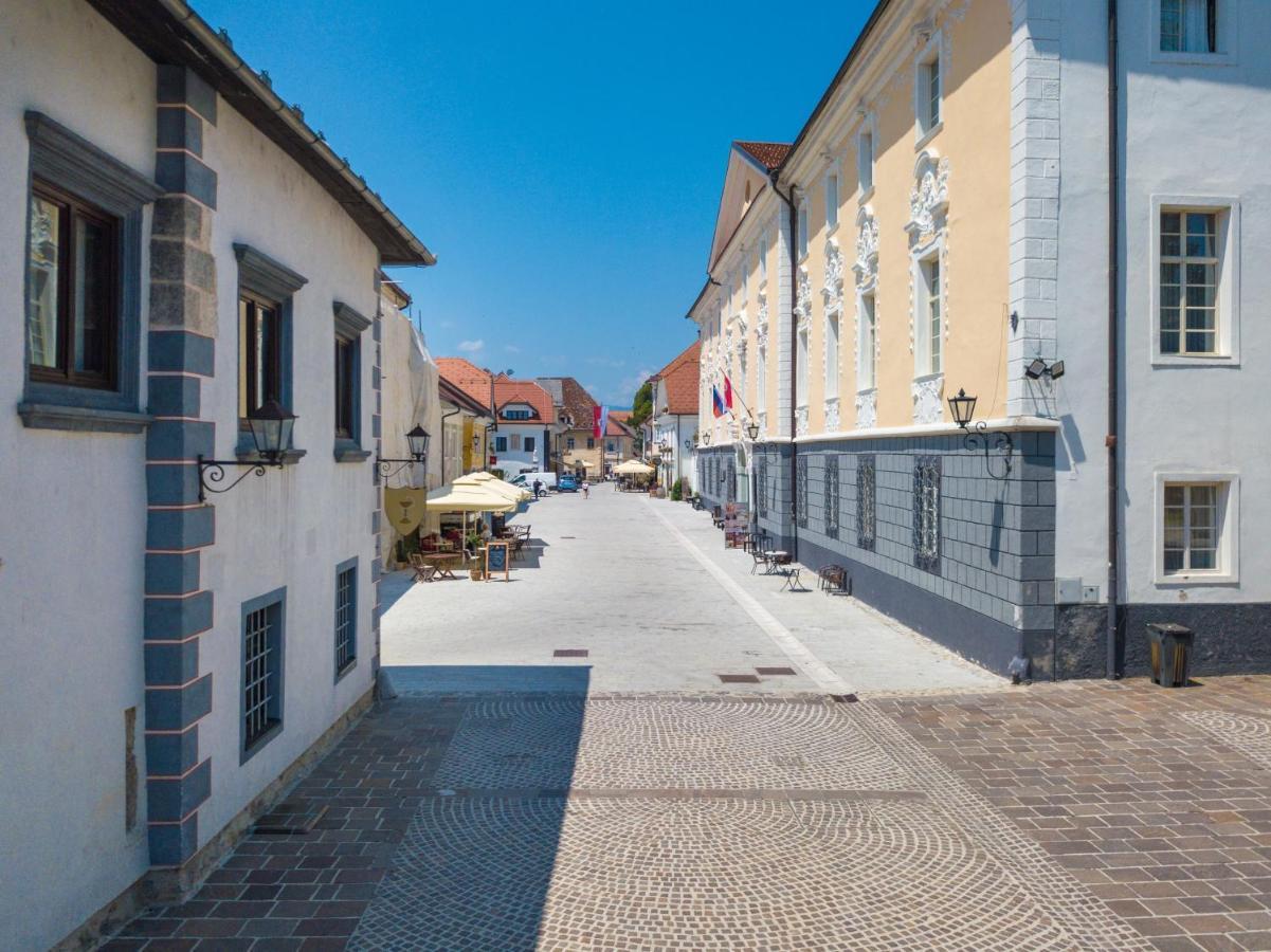 Vila Radolca Apartments & Rooms Radovljica Exterior foto
